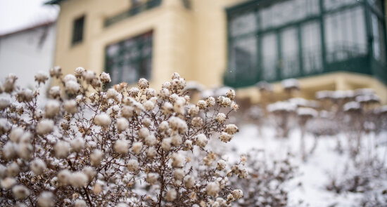 Úvodní diskuze cyklu Silné ženy: Hlasy, které nezmizely